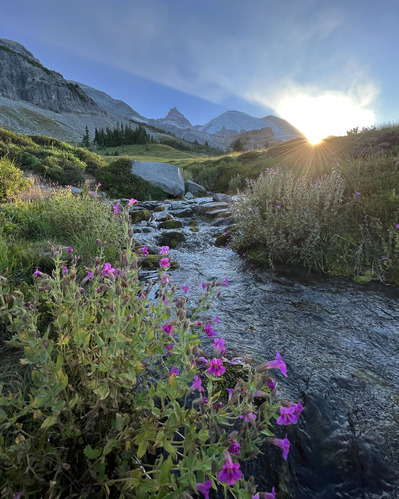 As the sun sets behind the peak of a glaciated mountain, sun beams highlight tall plants with pink blooms growing around a small rocky creek flowing through a meadow. 