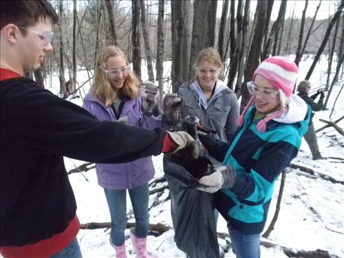 SLBE Benzie Central Earth Day 2011 Students Removing Fence from Woods