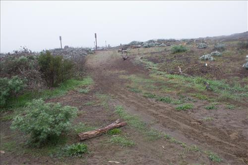 Rehabilitate Baker Beach/Battery Chamberlin for Universal Access