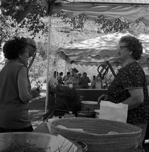 Woman demonstrating the making and uses of chaparral tea (Mormon tea) for visitors at the second annual Folklife Festival, Zion National Park Nature Center, September 7-8, 1978.