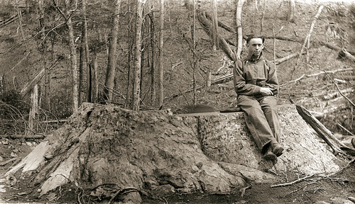 Historic photo of a man in overalls sitting on the stump of a massive tulip poplar tree