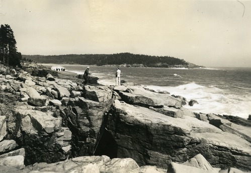 SHORE SCENE - GREAT HEAD IN BACK GROUND