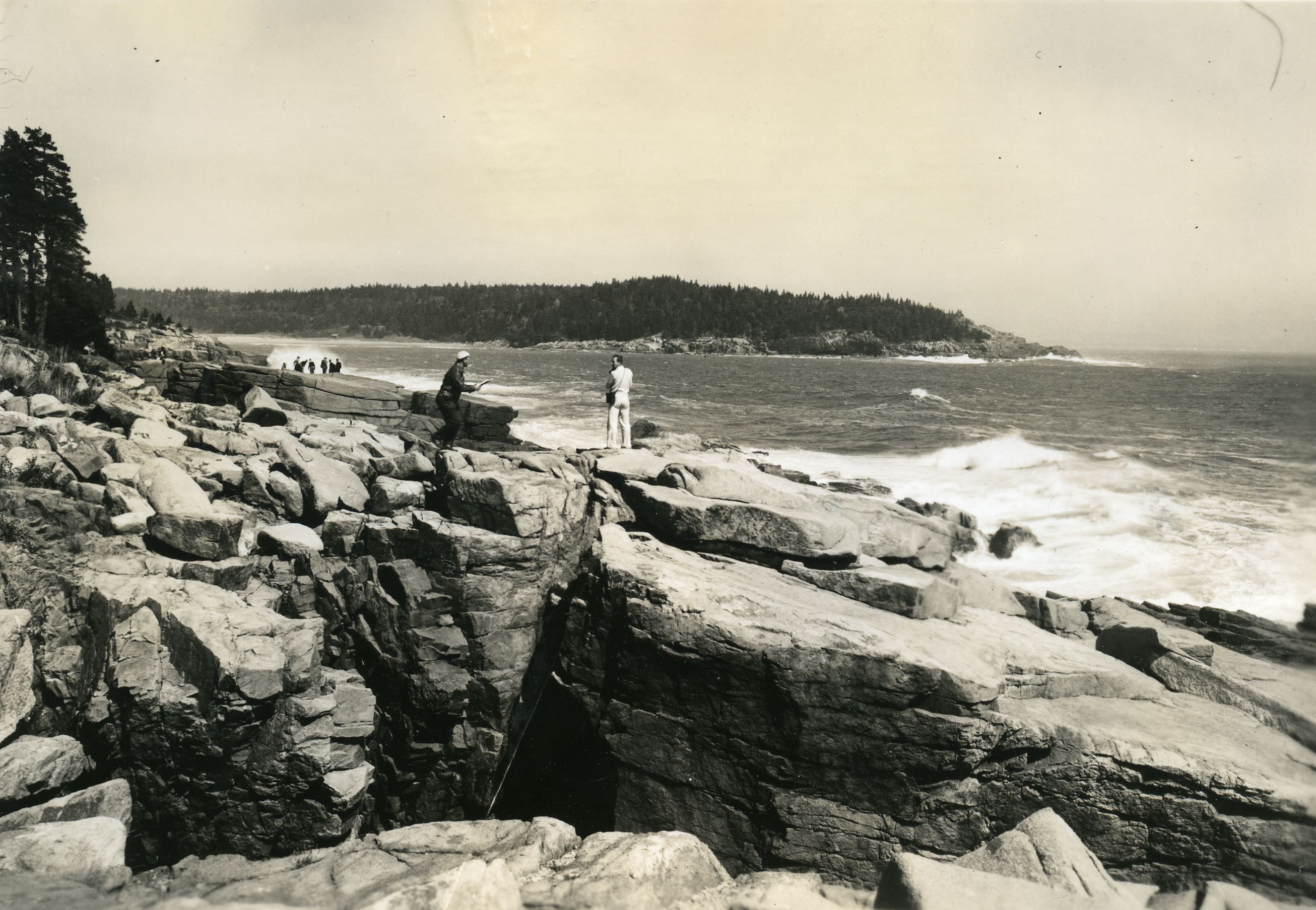SHORE SCENE - GREAT HEAD IN BACK GROUND