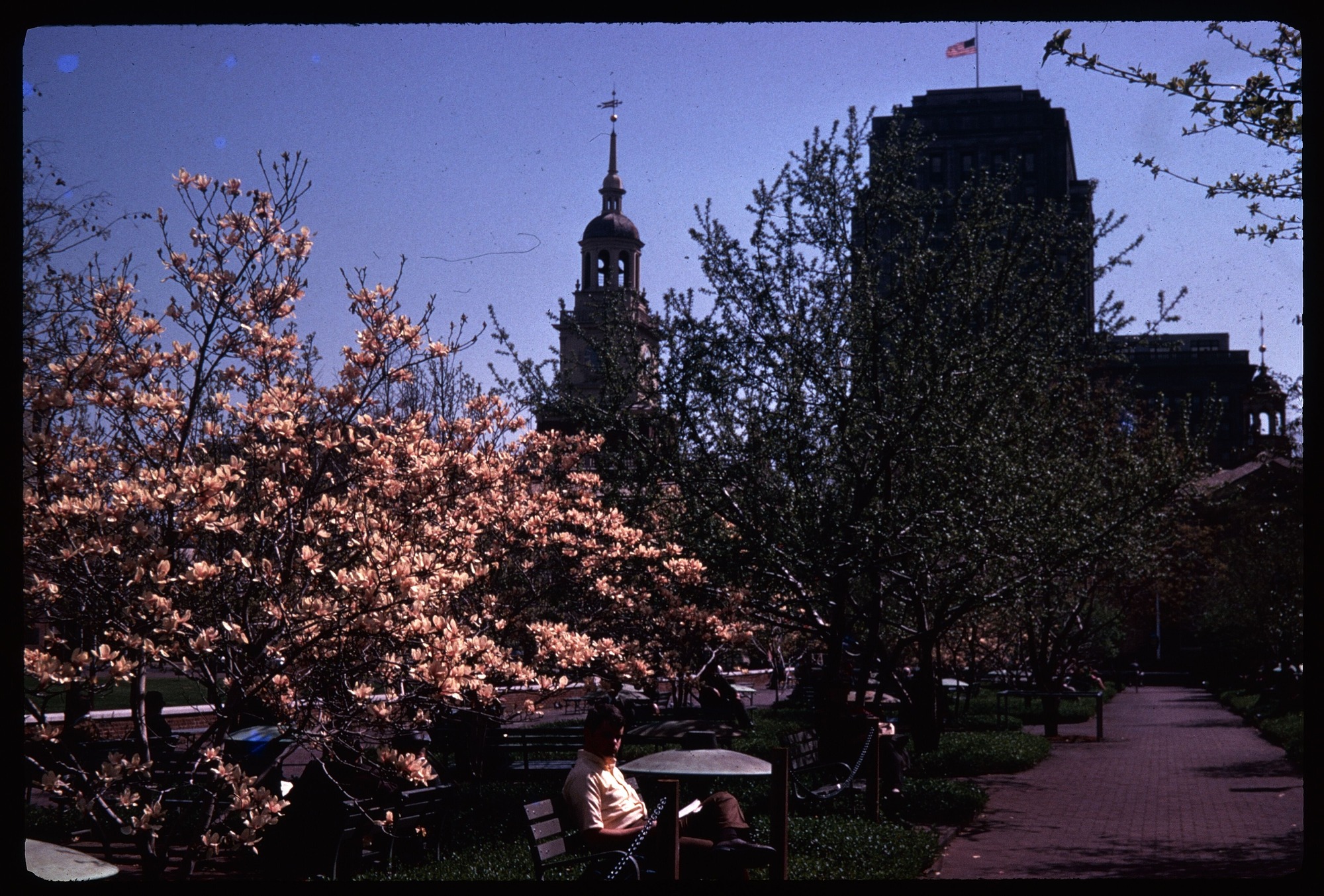 green space in foreground, dark outlines of building in background