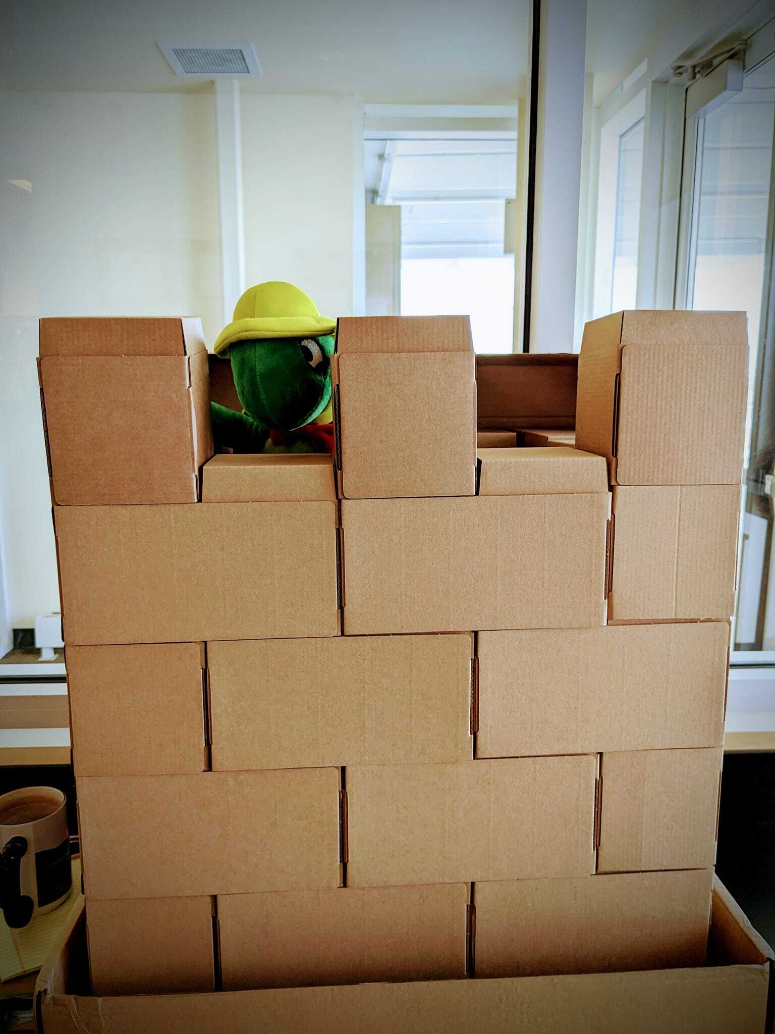 Plush green turtle with yellow helmet hiding in a castle made of cardboard blocks. 