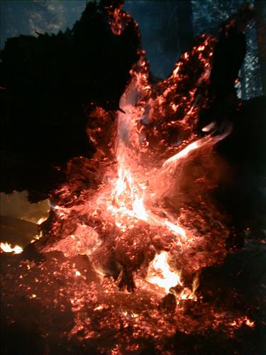Giant wildfire used for resource benefit, Sequoia and Kings Canyon National Parks, summer 2003