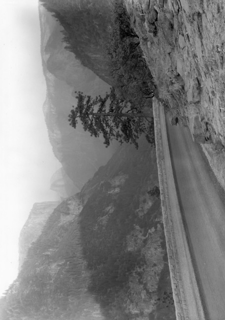 First view of Yosemite from Wawona Road.
