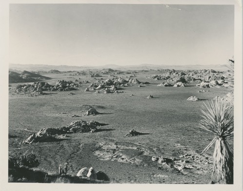 Black and white image of Wonderland of Rocks