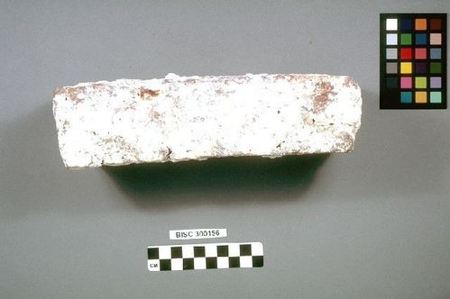 BISC  300196 -- Brick