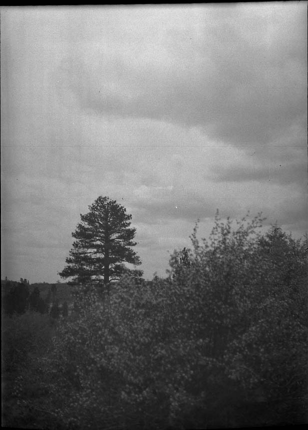 Joseph Dixon Collection