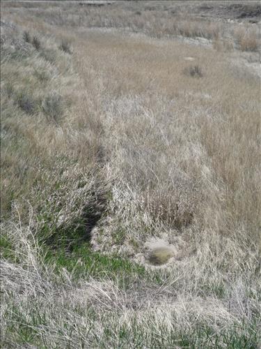 BADL Facility Management Collection: Loop Road (RT10) - FY10 Culverts and Drainage Ditches