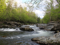 Trees line the sides of a river with large rocks. 