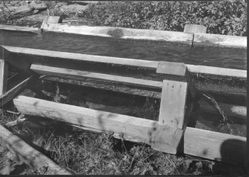 Sugar Pine Lumber Co. flume at Raynor Creek, showing leaky condition.