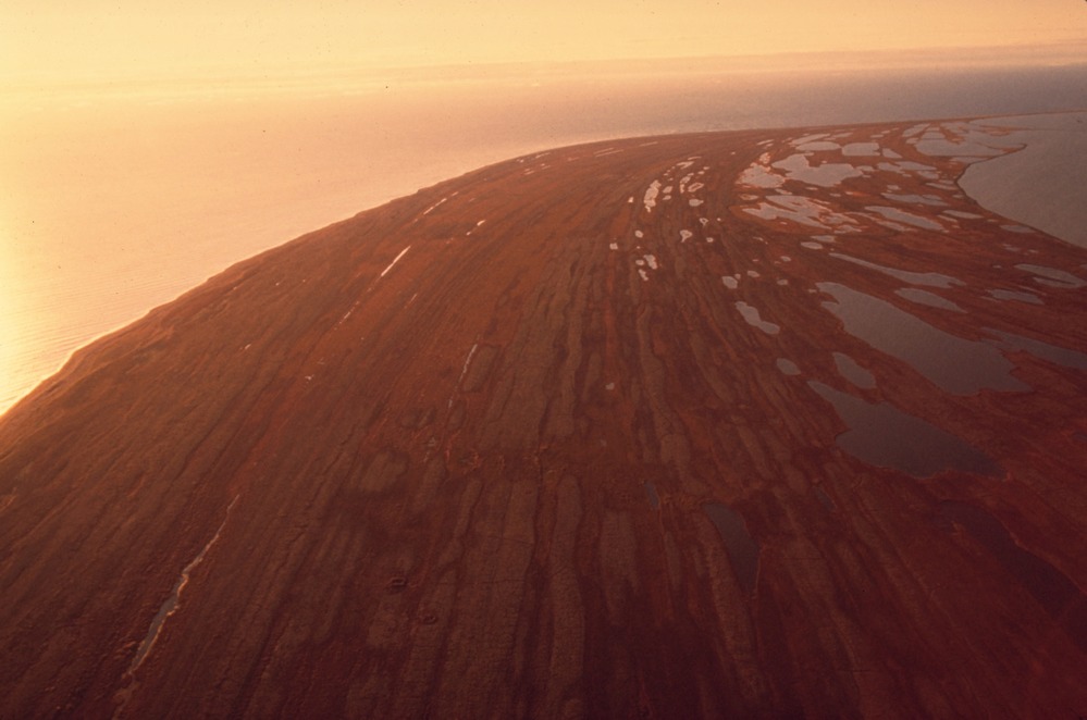 Aerial view of beach ridges on a coastline carpeted with red autumn vegetation.