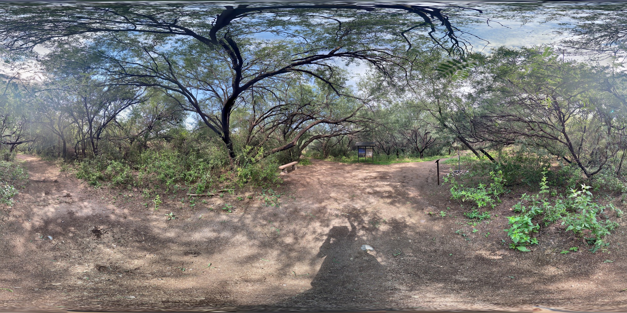 360 panoramic photo, mesquite trees, trails, bench, and wayside exhibit