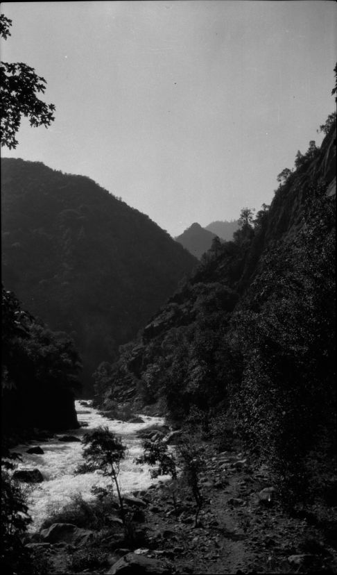 SEKI Roberts Collection Series: 2 Negatives; 12 Scenics