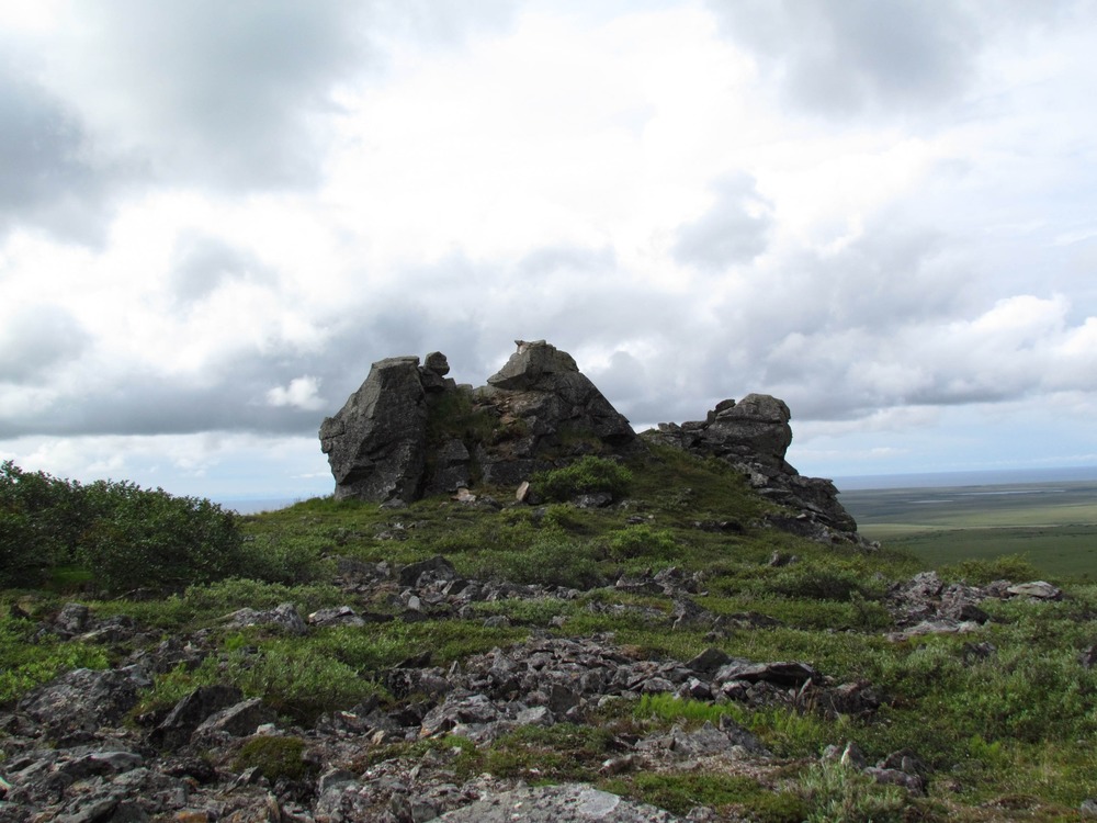  Lichen covered rocks and green plants above a river floodplain.