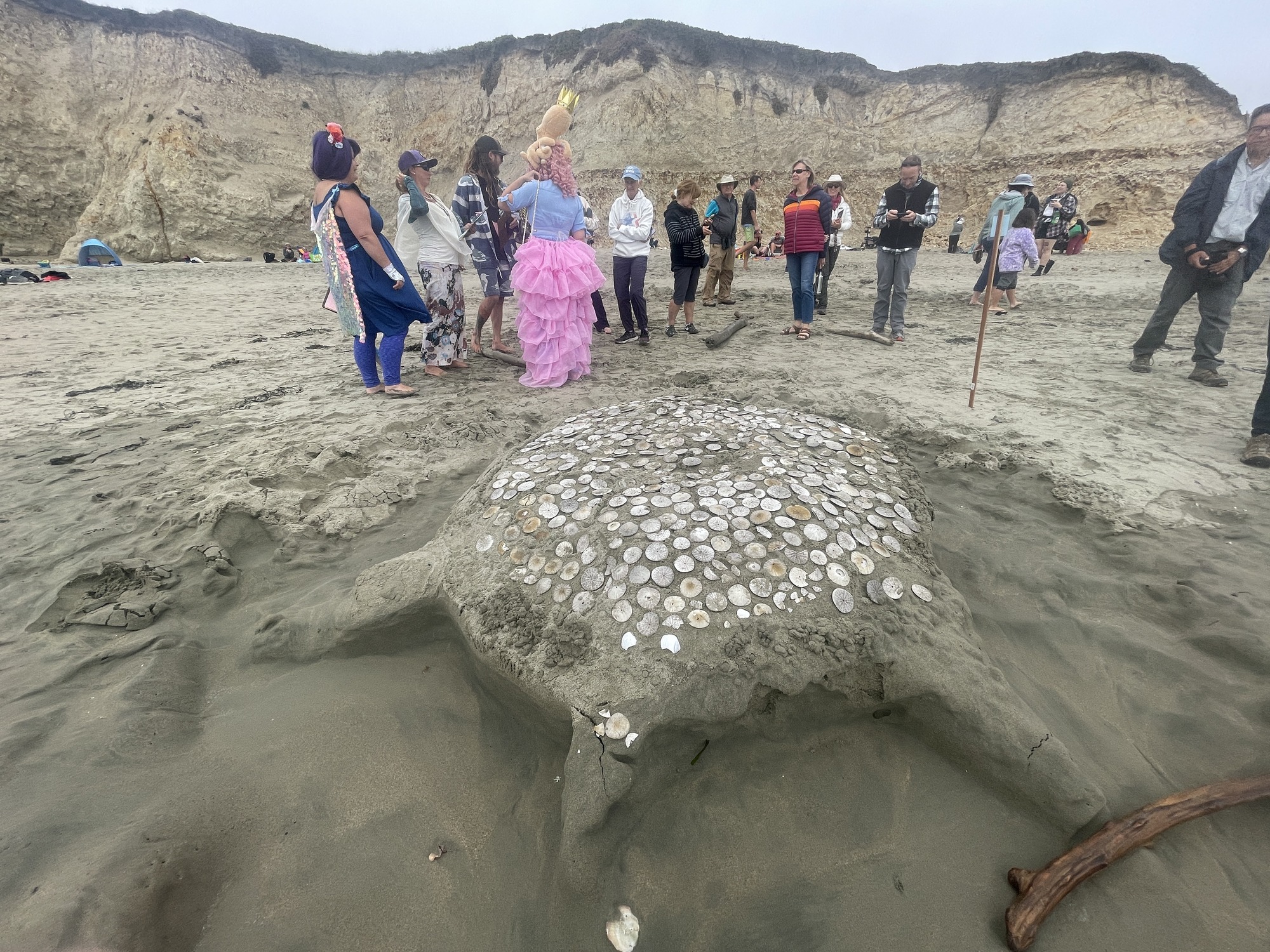 A sand sculpture of a sea turtle with a back covered in hundreds of sand dollars.