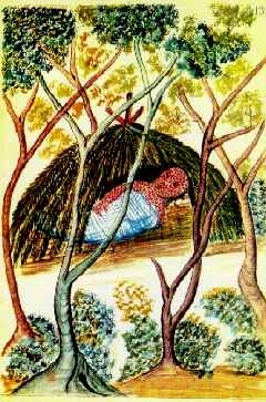 Smallpox killed more of the natives of Tumacácori than all the Apache attacks and other battles between various factions combined.