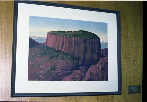 Color Photos of a temporary art exhibit.