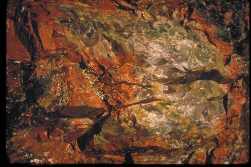Petrified Wood at Petrified Forest National Park, Arizona