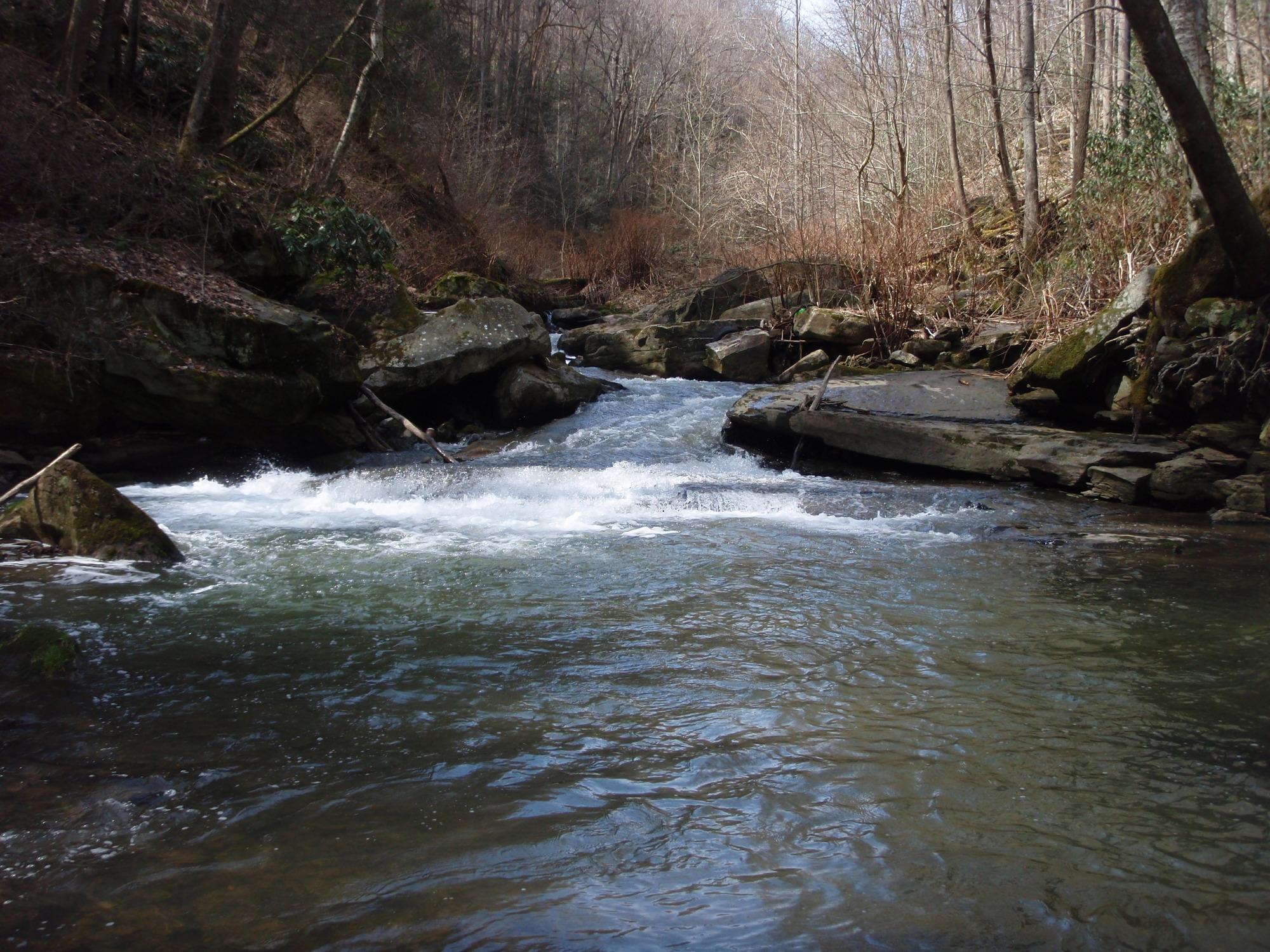 Site visit photo showing the upstream (UP) or downstream (DN) view of a wadeable stream reach taken during benthic macroinvertebrate monitoring at New River Gorge National Park and Preserve.