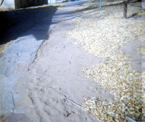 The Zion Lodge utilities project.