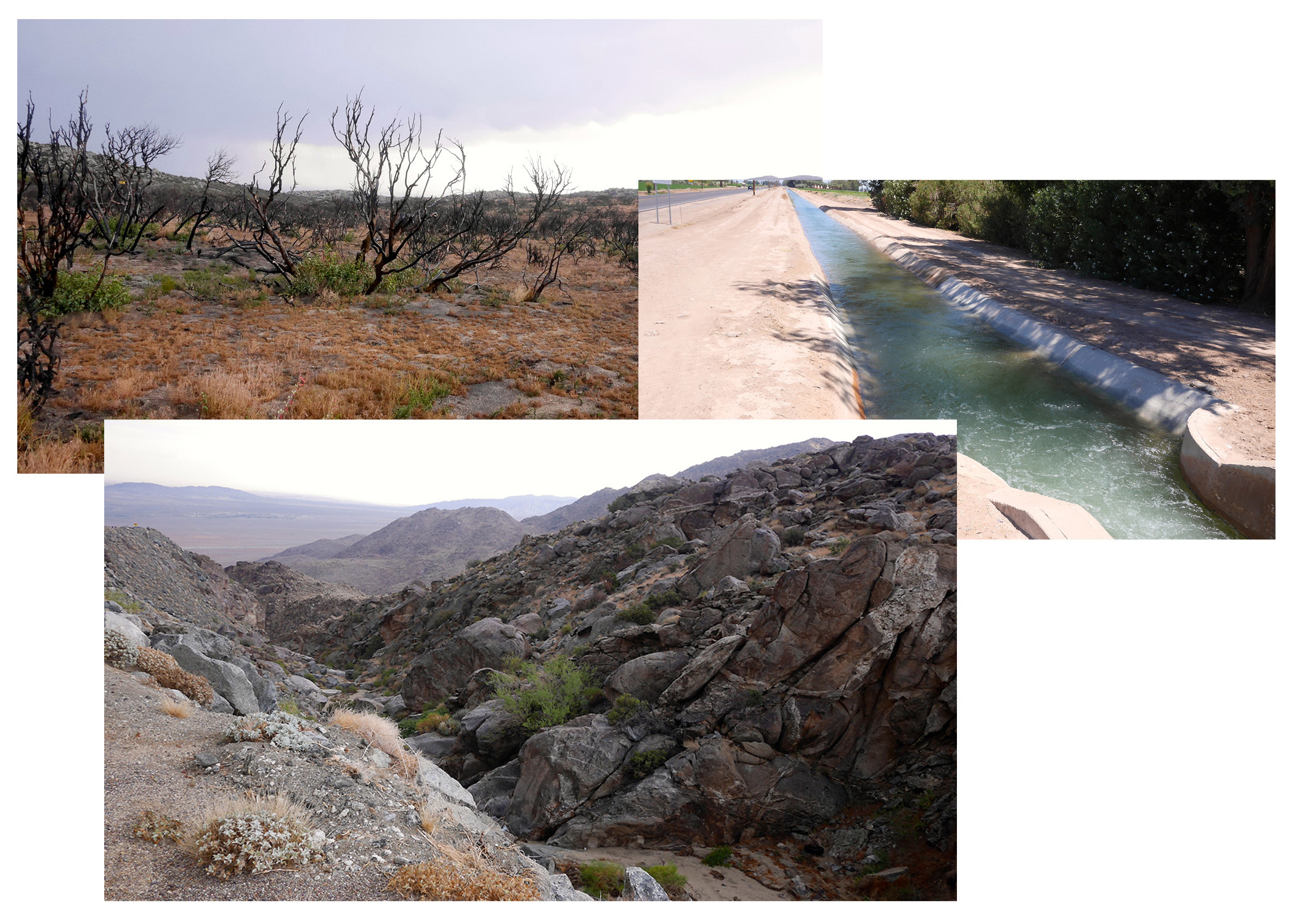 Three photos showing a charred desert landscape, a canal full of water, and a valley between two rocky low mountains