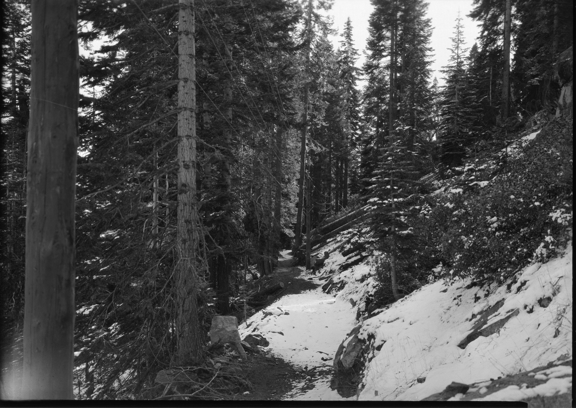 11,000 Volt Transmission Line to Glacier Point Hotel