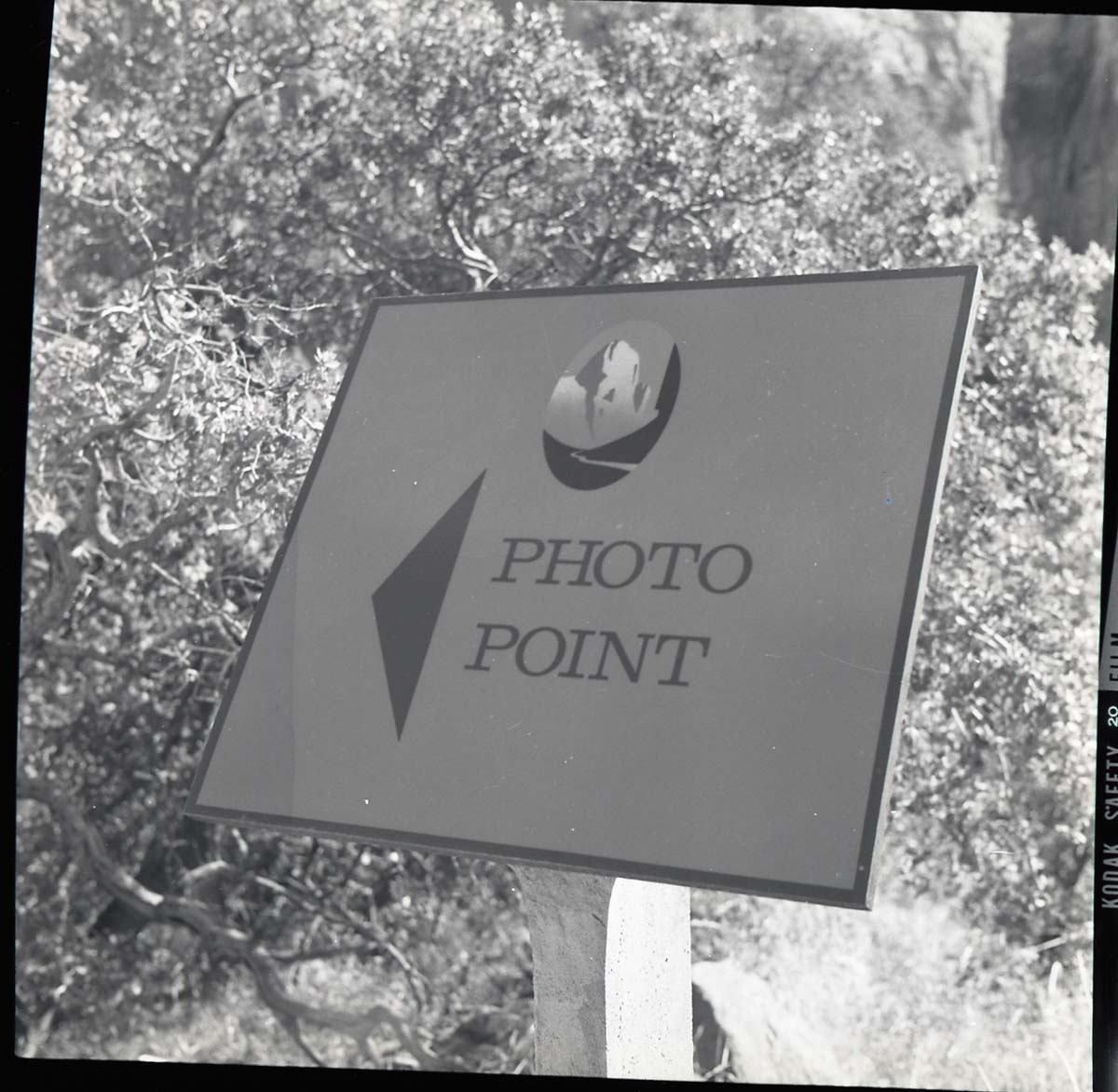 BW Photos of trailside exhibits.