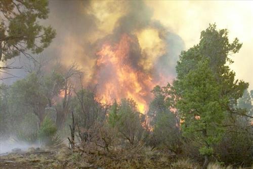 Full fire with black smoke in wooded areas during Long Mesa Fire at Mesa Verde National Park, July 29-Aug. 4, 2002