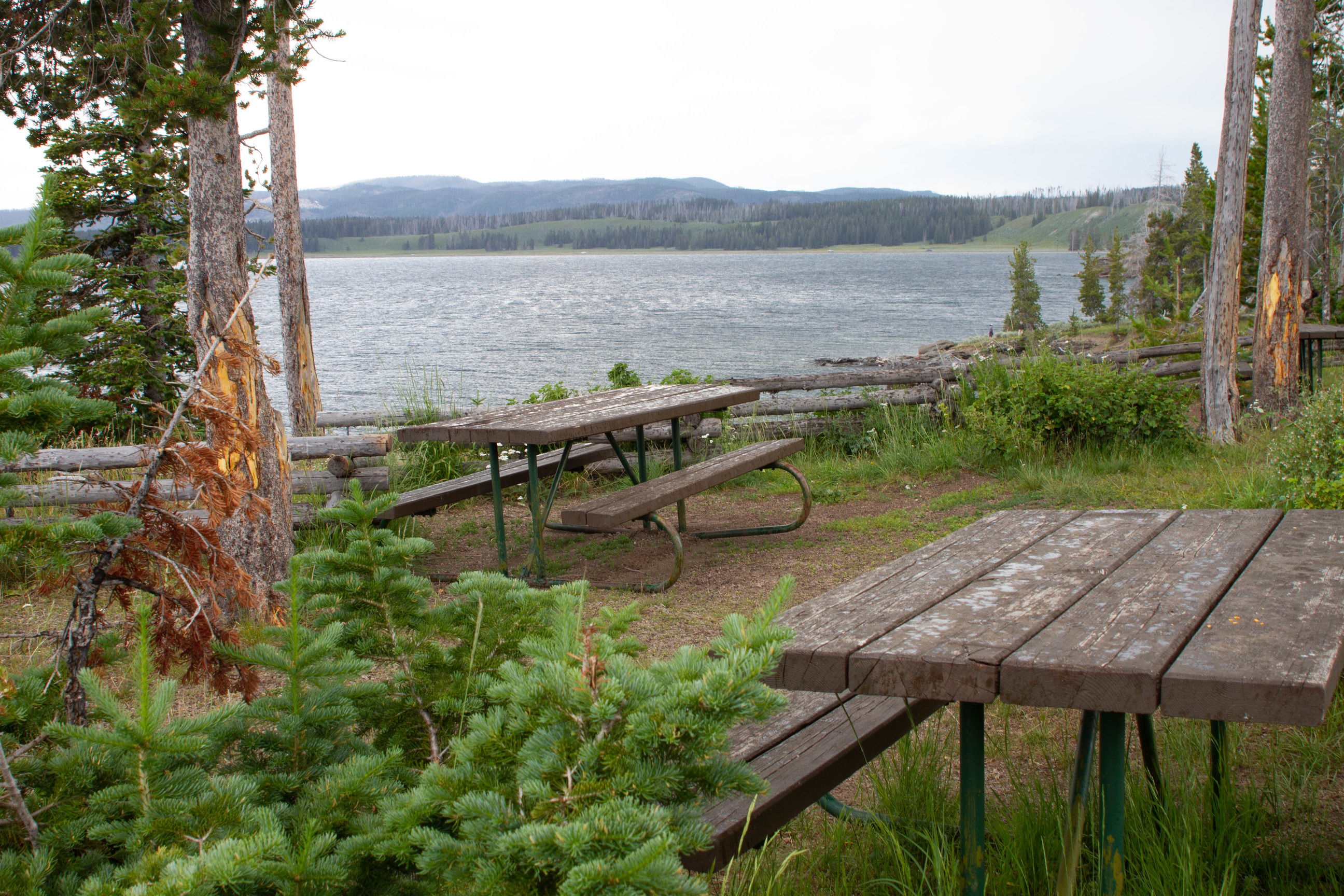 Unoccupied tables on hill above Yellowstone Lake