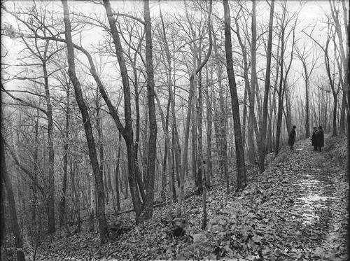 [C5235-CC5244] Mine Brook, NJ