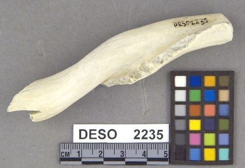 DESO    2235 -- Hammer