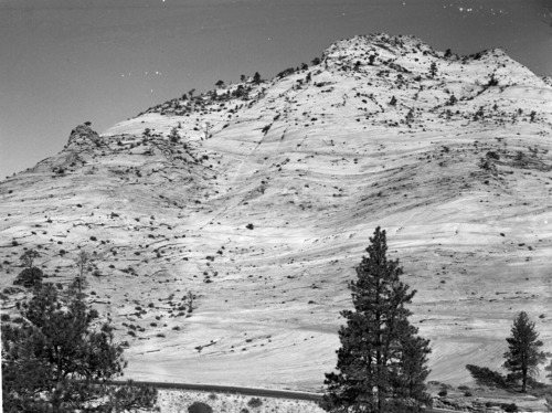 A niche on cliffside on east side of Zion National Park. Exhibit 7.