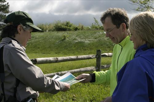 Interpretive program at Coliseum site