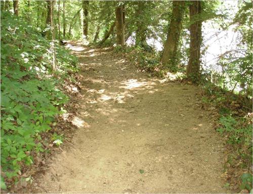 CHCH YCC Mt. Beautiful Trail Rehabilitation