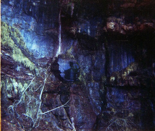 Color Photos of seeps and springs in Zion.