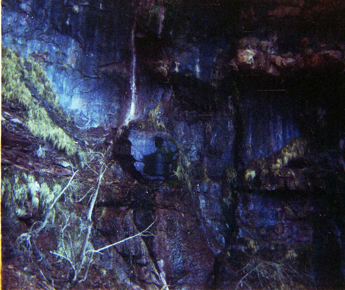 Color Photos of seeps and springs in Zion.