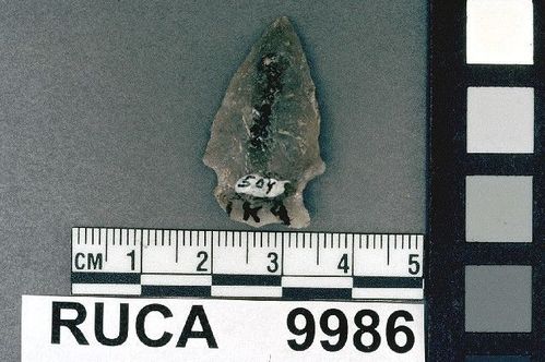 RUCA    9986 -- Point, Projectile