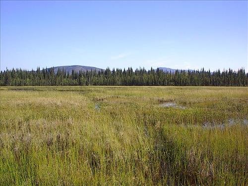 1 Yukon-Charley Rivers National Preserve Water Quality Ponds 2003