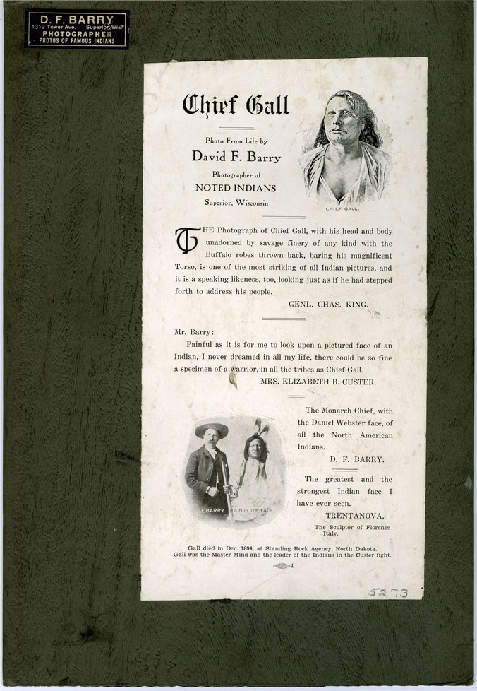 Portrait of Chief Gall