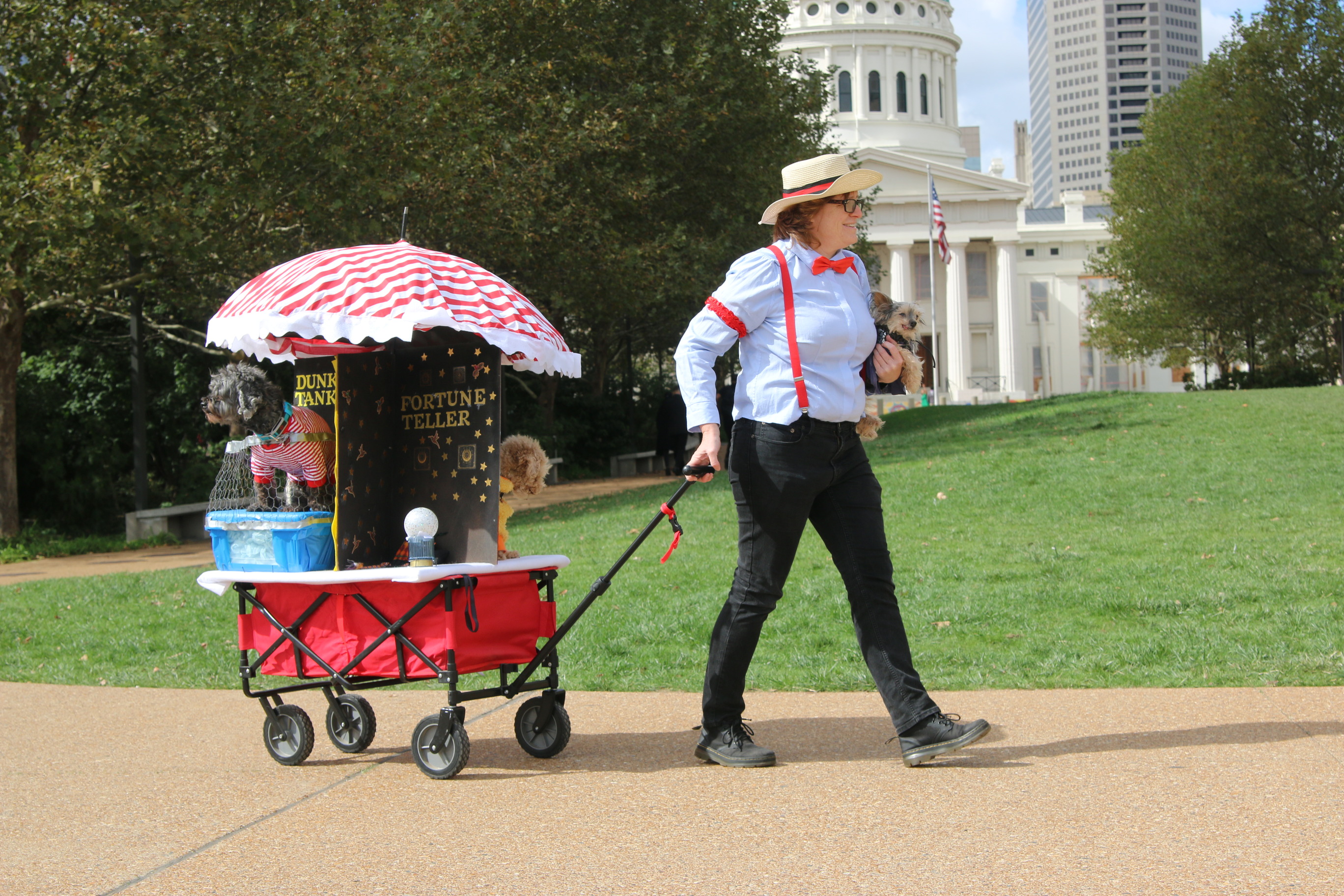 A red wagon is pulled by a woman in suspenders and a straw hat. The wagon is decorated like a circus and costumed dogs are riding along.