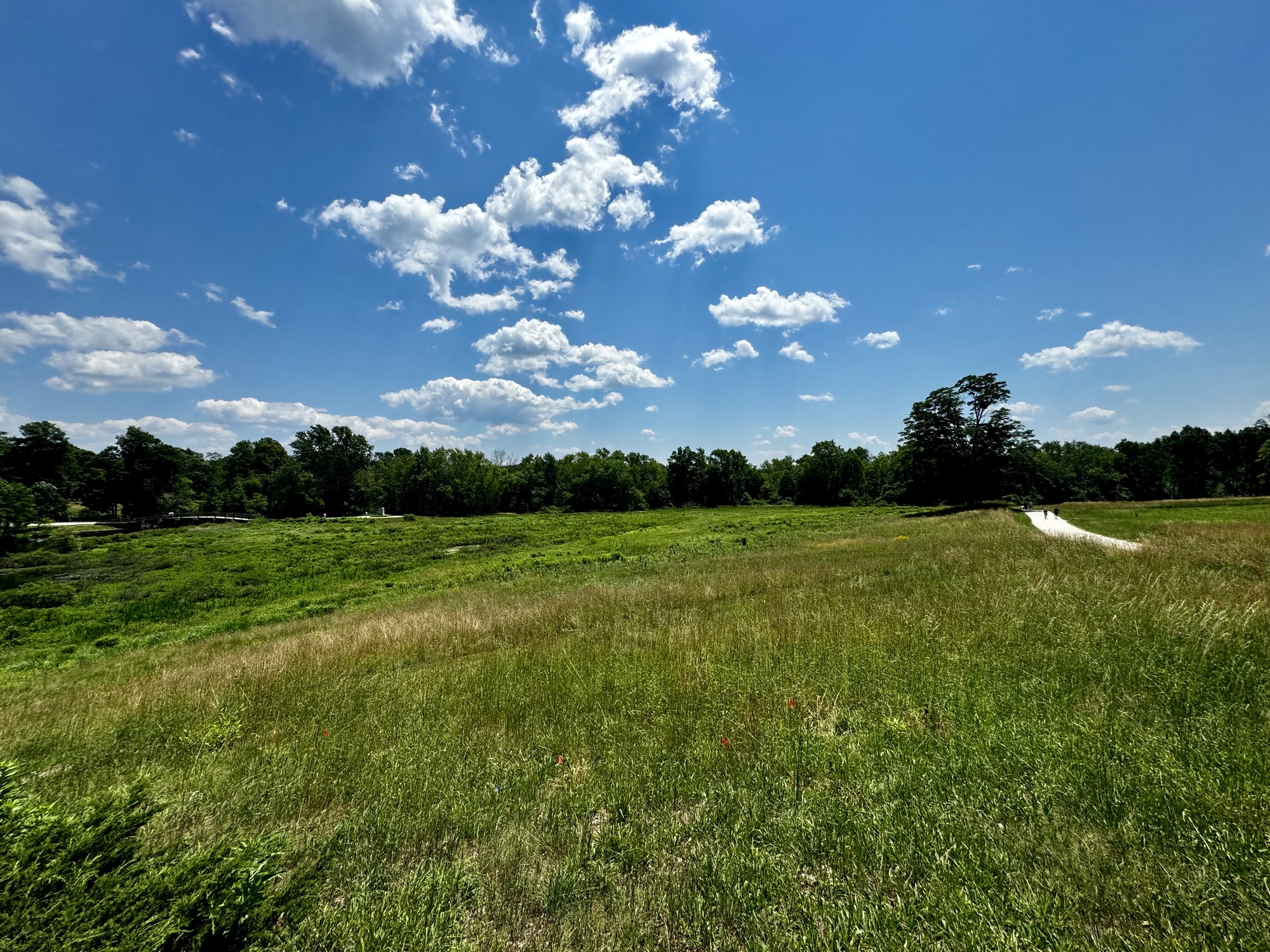Open Grassland next to the North Bridge in Minute Man National Historical Park. 