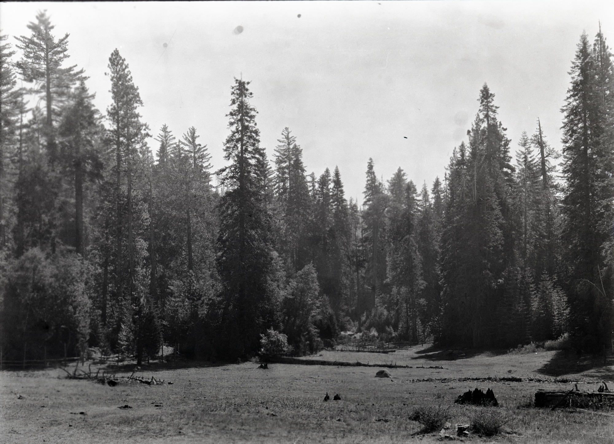 Big Oak Flat Road View at Hazel Green showing the lower meadow.