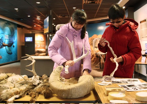 Thematic Websites photos for NPWeek 2010 JRDay3