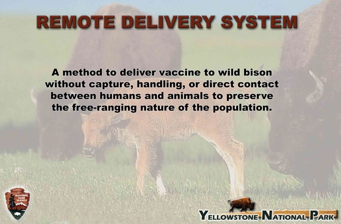 11. Remote Delivery System