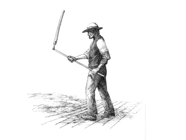 Threshing with grain flail.