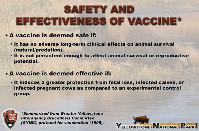 17. Safety and Effectiveness of Vaccine