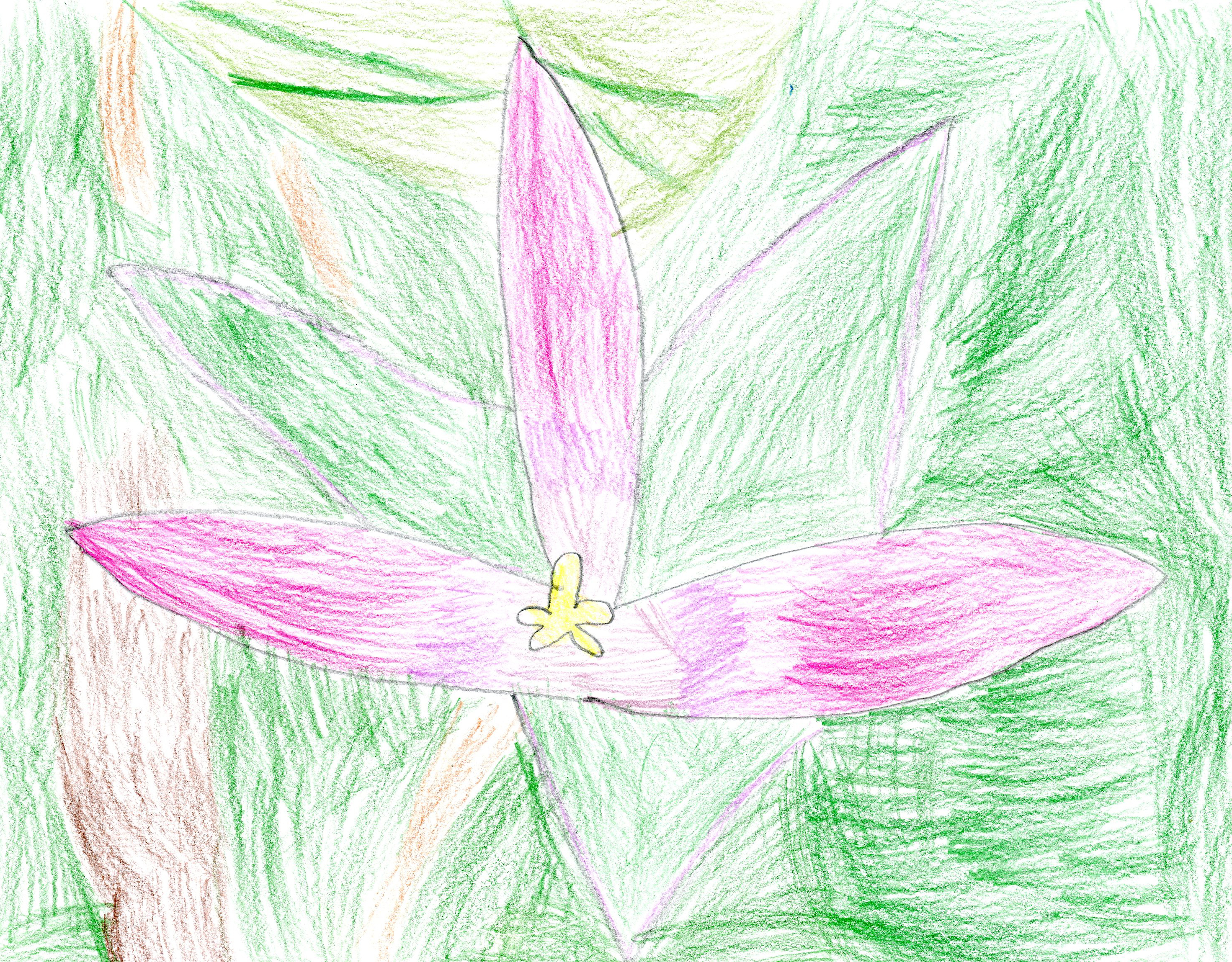 drawing of pink three petaled flower with green background